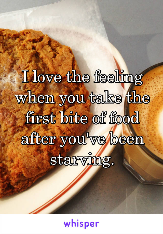 I love the feeling when you take the first bite of food after you've been starving.