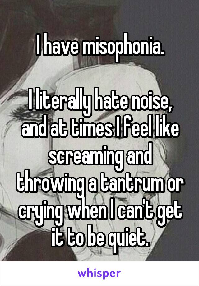 I have misophonia.

I literally hate noise, and at times I feel like screaming and throwing a tantrum or crying when I can't get it to be quiet.