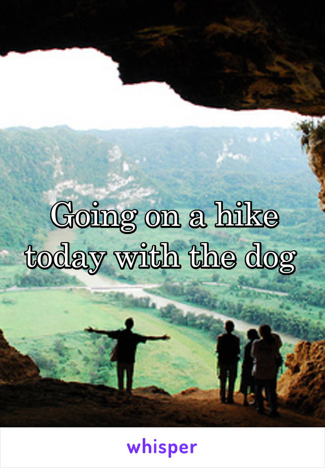 Going on a hike today with the dog 