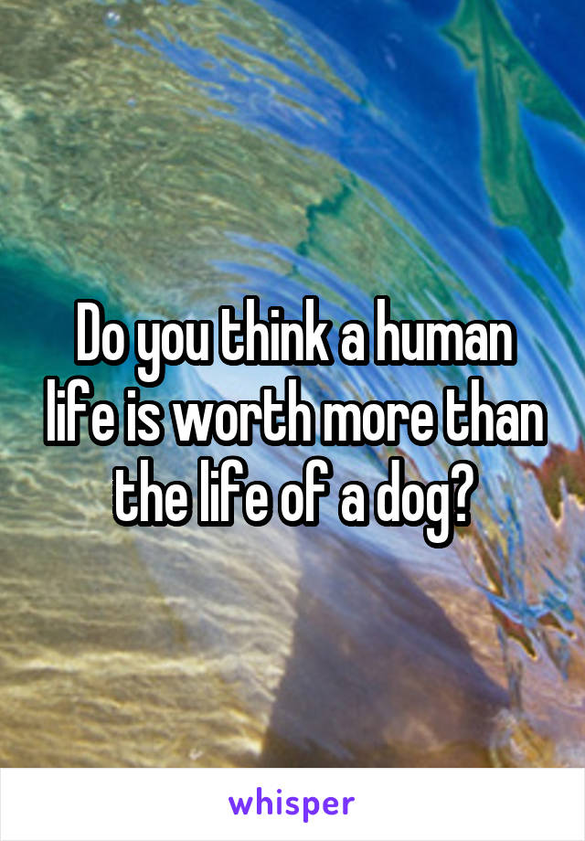 Do you think a human life is worth more than the life of a dog?