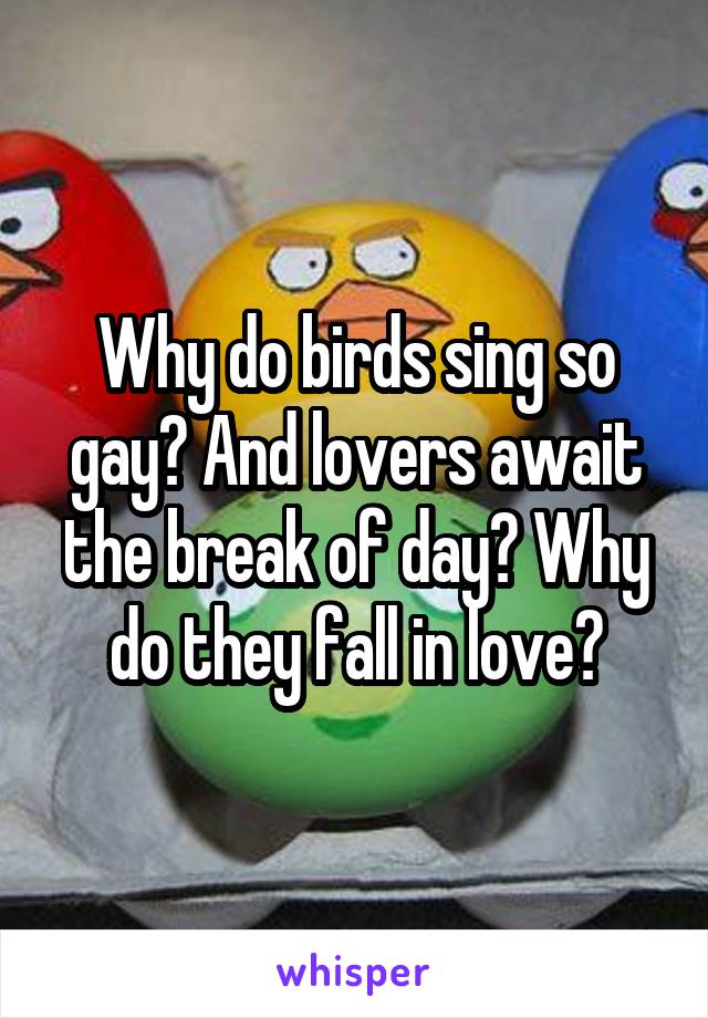 Why do birds sing so gay? And lovers await the break of day? Why do they fall in love?