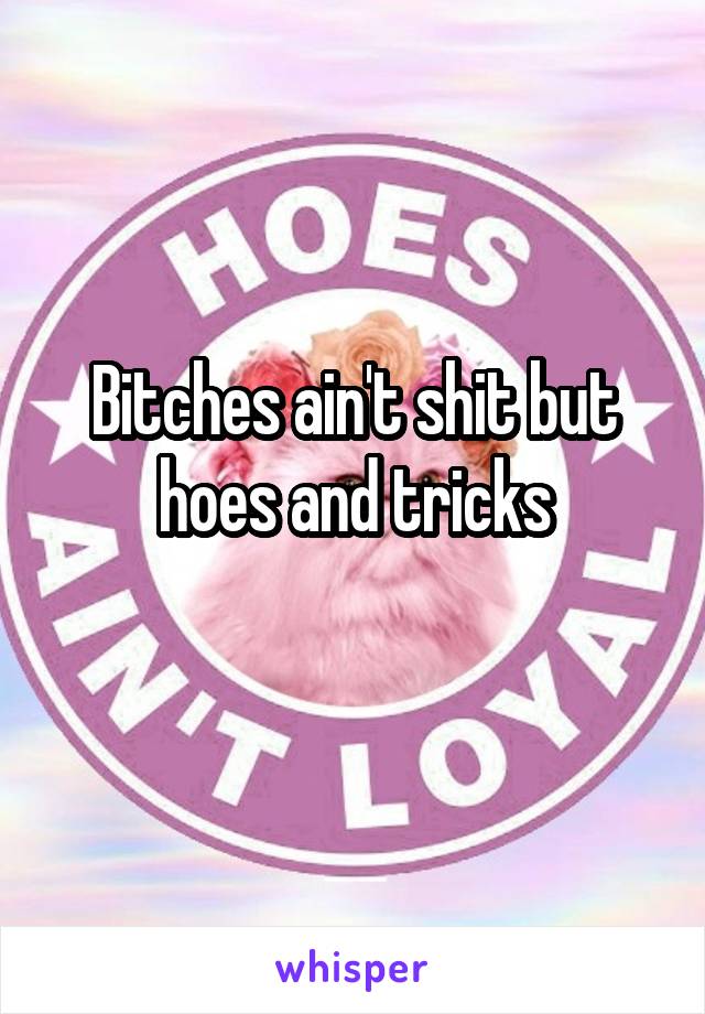 Bitches ain't shit but hoes and tricks
