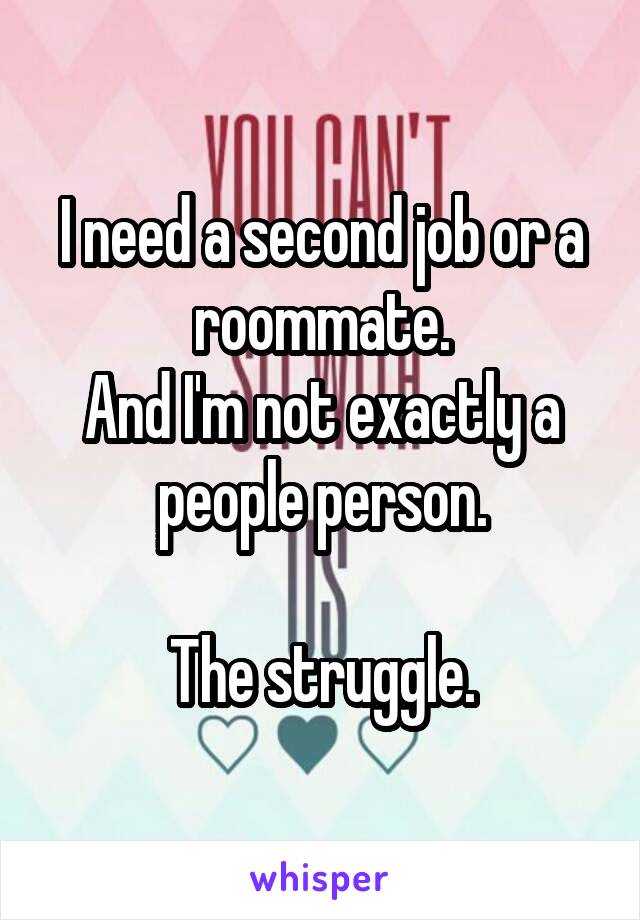 I need a second job or a roommate.
And I'm not exactly a people person.

The struggle.