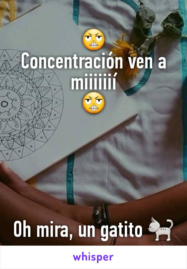 😬
Concentración ven a miiiiiií
😬





Oh mira, un gatito 🐈