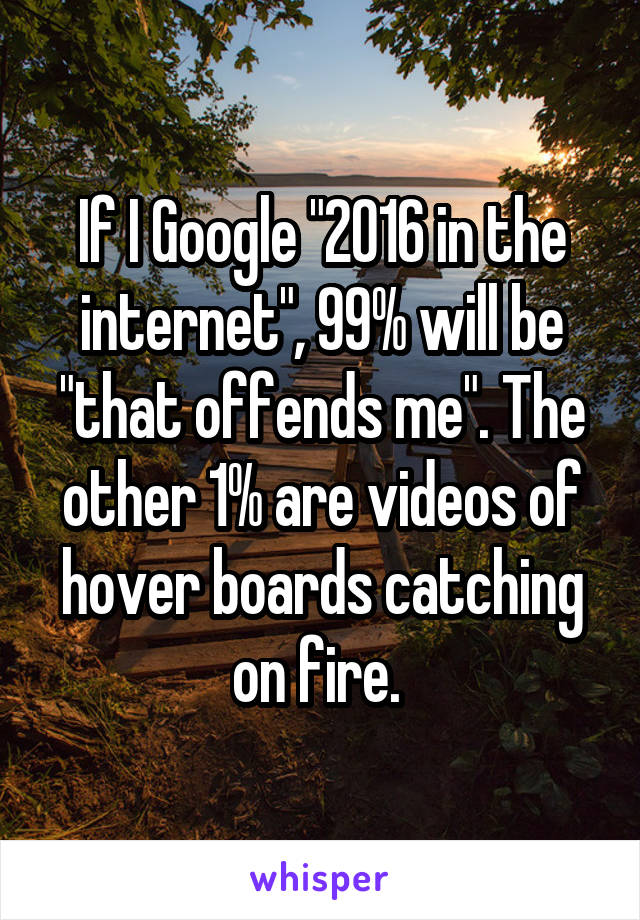 If I Google "2016 in the internet", 99% will be "that offends me". The other 1% are videos of hover boards catching on fire. 