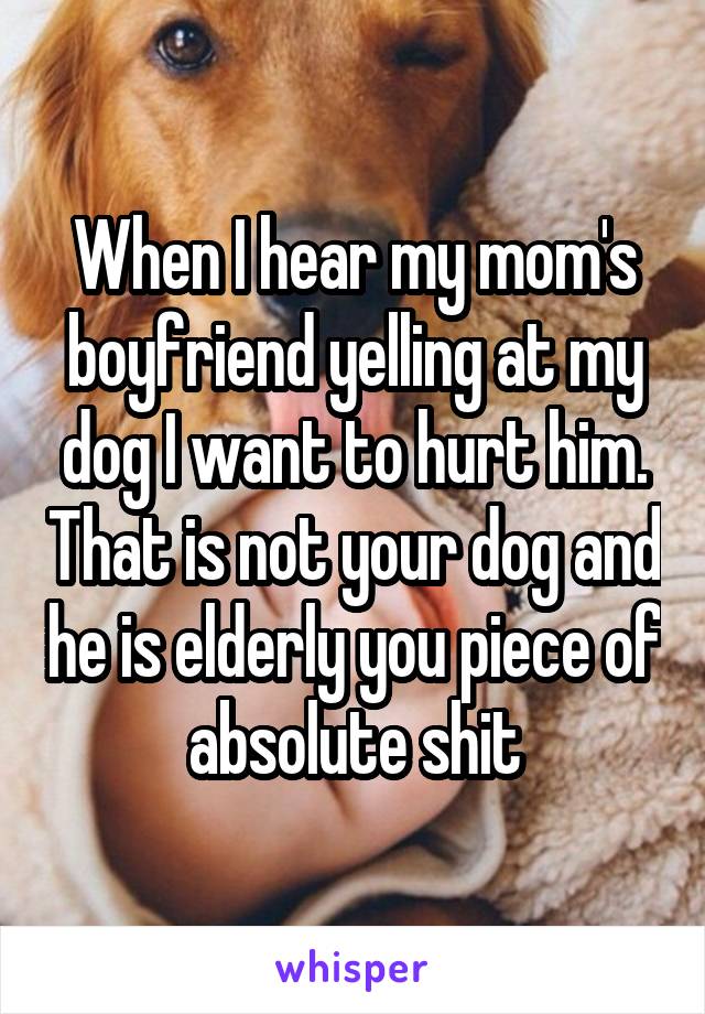 When I hear my mom's boyfriend yelling at my dog I want to hurt him. That is not your dog and he is elderly you piece of absolute shit