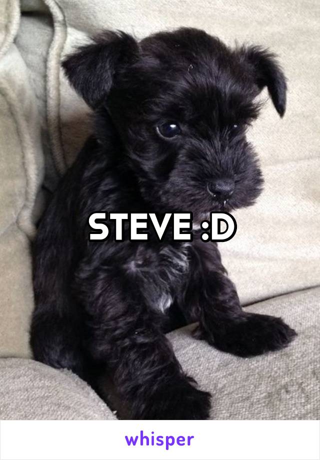 STEVE :D