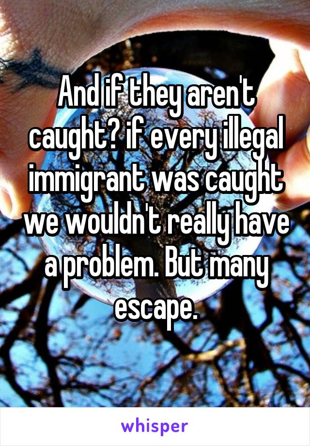 And if they aren't caught? if every illegal immigrant was caught we wouldn't really have a problem. But many escape.
