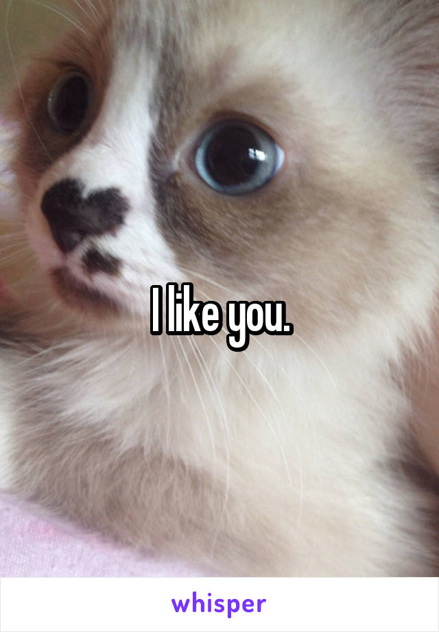 I like you.