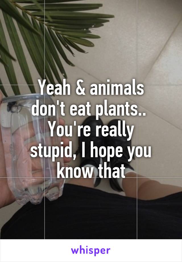 Yeah & animals
don't eat plants.. 
You're really
stupid, I hope you
know that