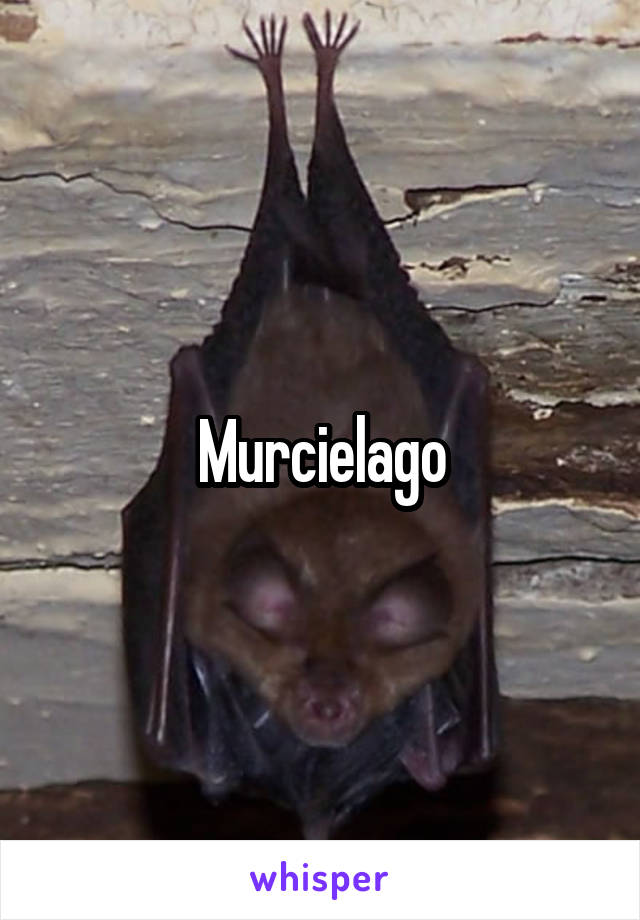 Murcielago