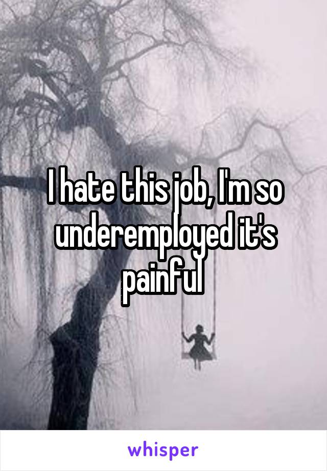 I hate this job, I'm so underemployed it's painful 