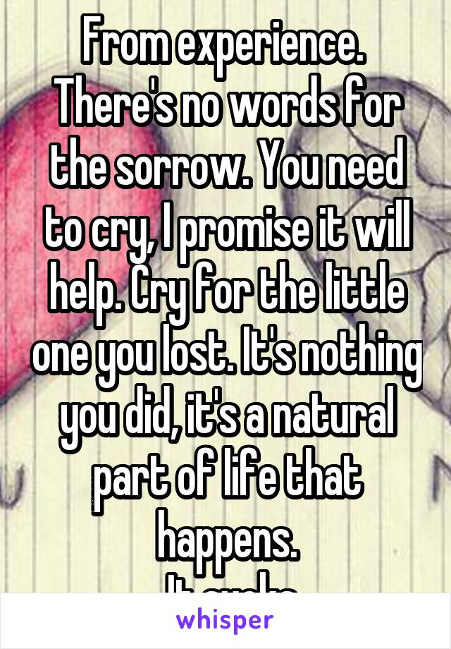 From experience. 
There's no words for the sorrow. You need to cry, I promise it will help. Cry for the little one you lost. It's nothing you did, it's a natural part of life that happens.
 It sucks