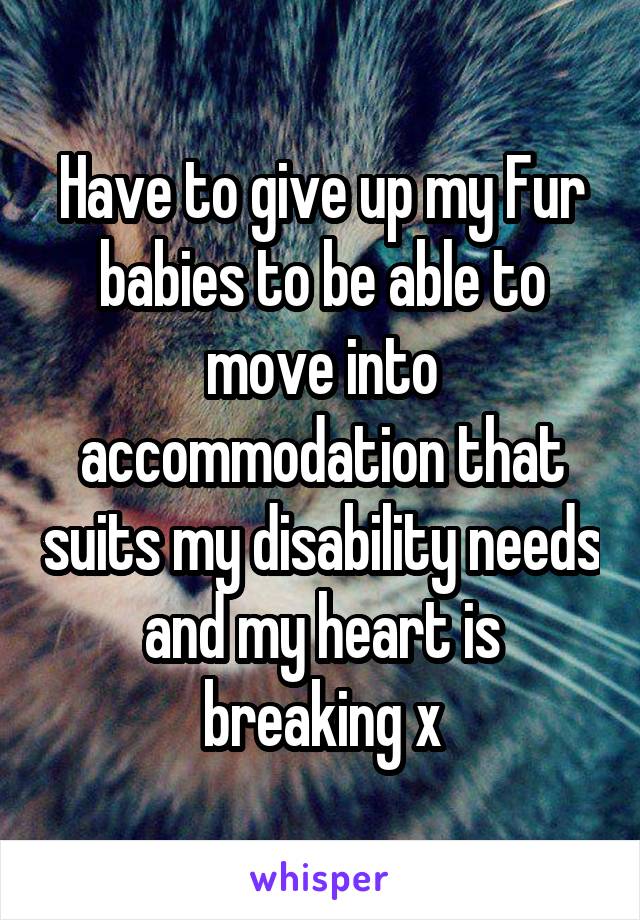 Have to give up my Fur babies to be able to move into accommodation that suits my disability needs and my heart is breaking x