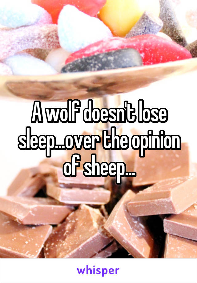 A wolf doesn't lose sleep...over the opinion of sheep...