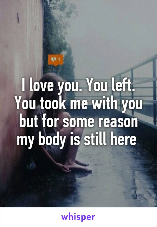 I love you. You left. You took me with you but for some reason my body is still here 