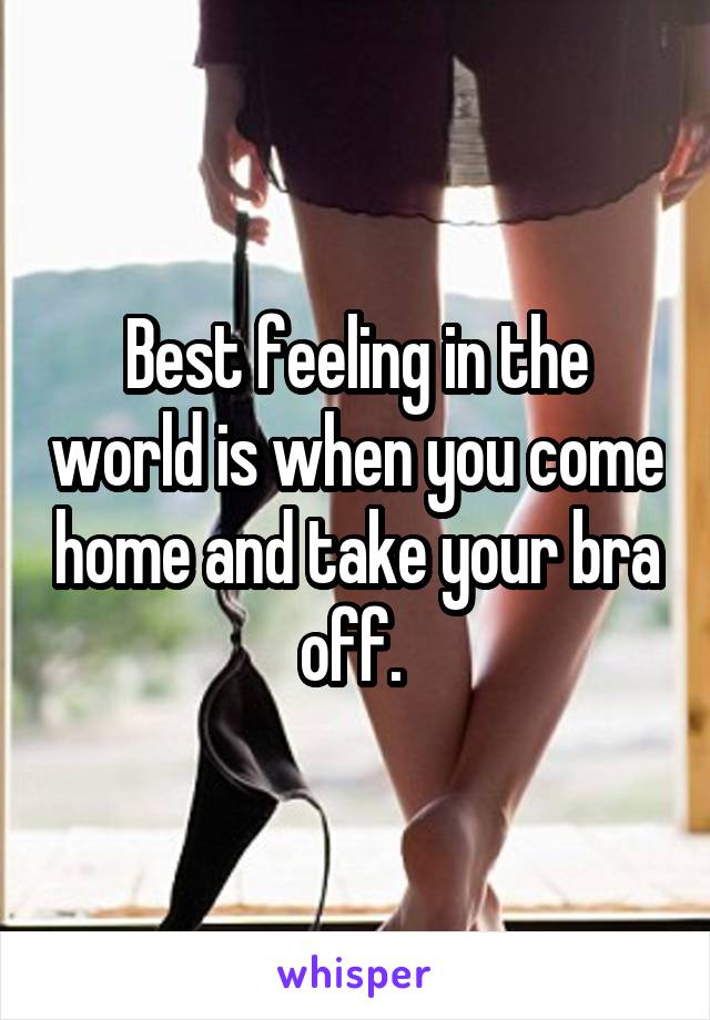 Best feeling in the world is when you come home and take your bra off. 