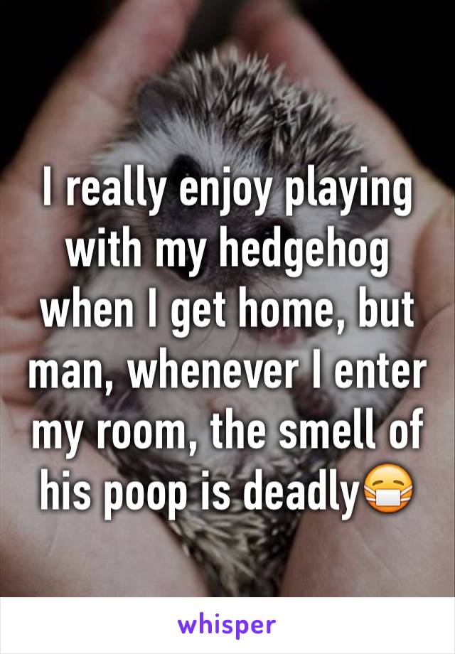 I really enjoy playing with my hedgehog when I get home, but man, whenever I enter my room, the smell of his poop is deadly😷