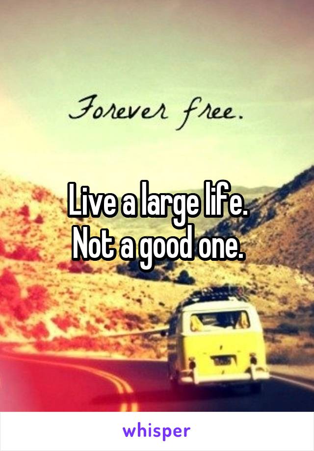 Live a large life.
Not a good one.