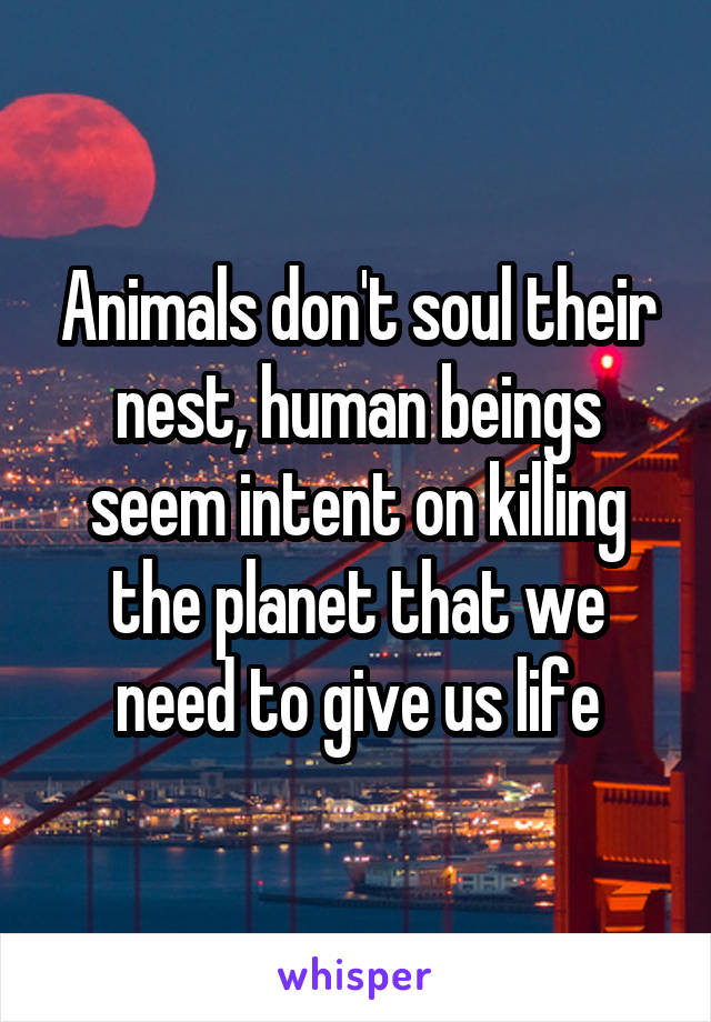 Animals don't soul their nest, human beings seem intent on killing the planet that we need to give us life