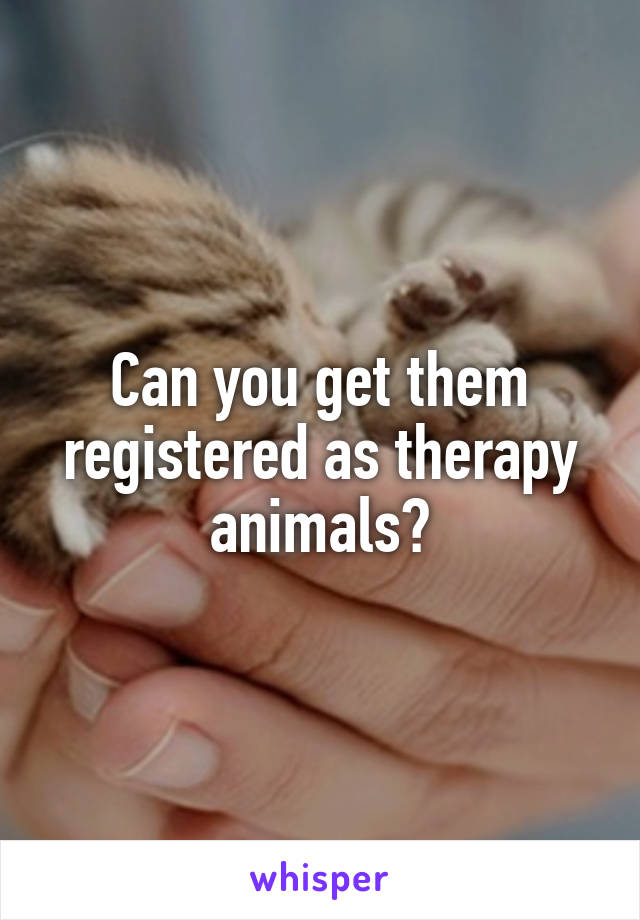 Can you get them registered as therapy animals?