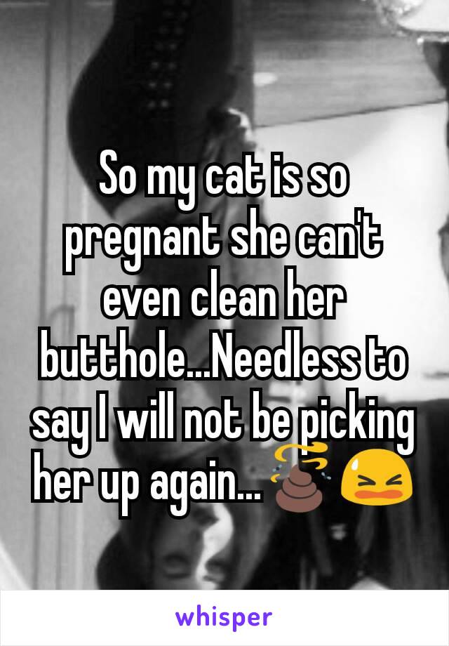 So my cat is so pregnant she can't even clean her butthole...Needless to say I will not be picking her up again...💩😫