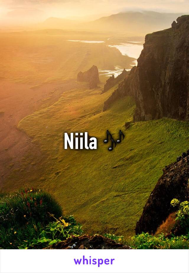 Niila 🎶