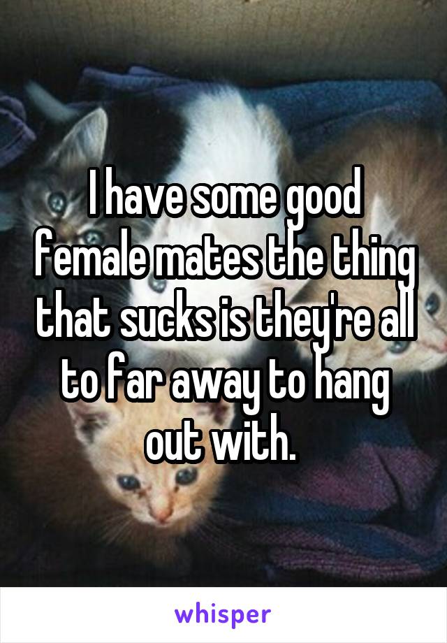 I have some good female mates the thing that sucks is they're all to far away to hang out with. 
