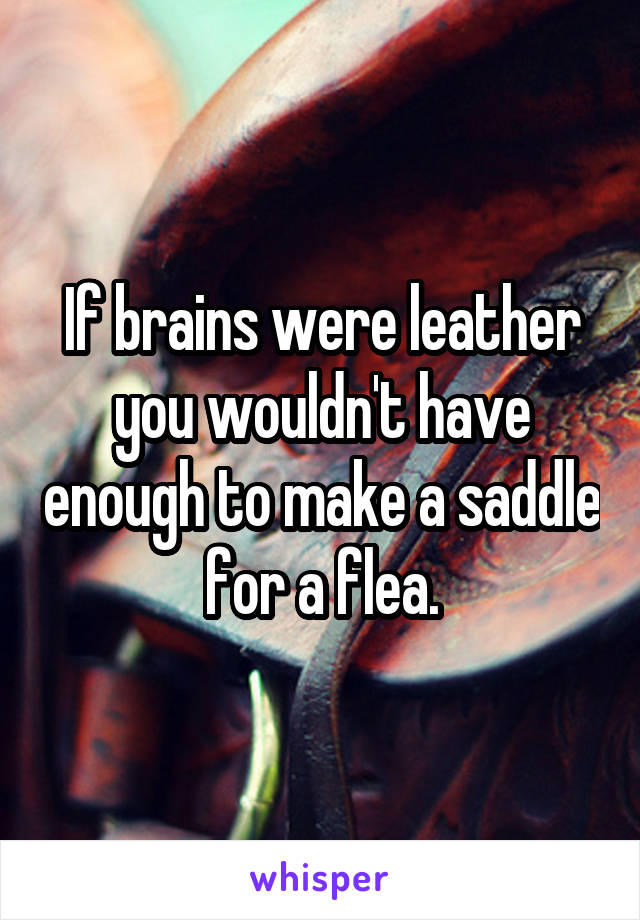 If brains were leather you wouldn't have enough to make a saddle for a flea.