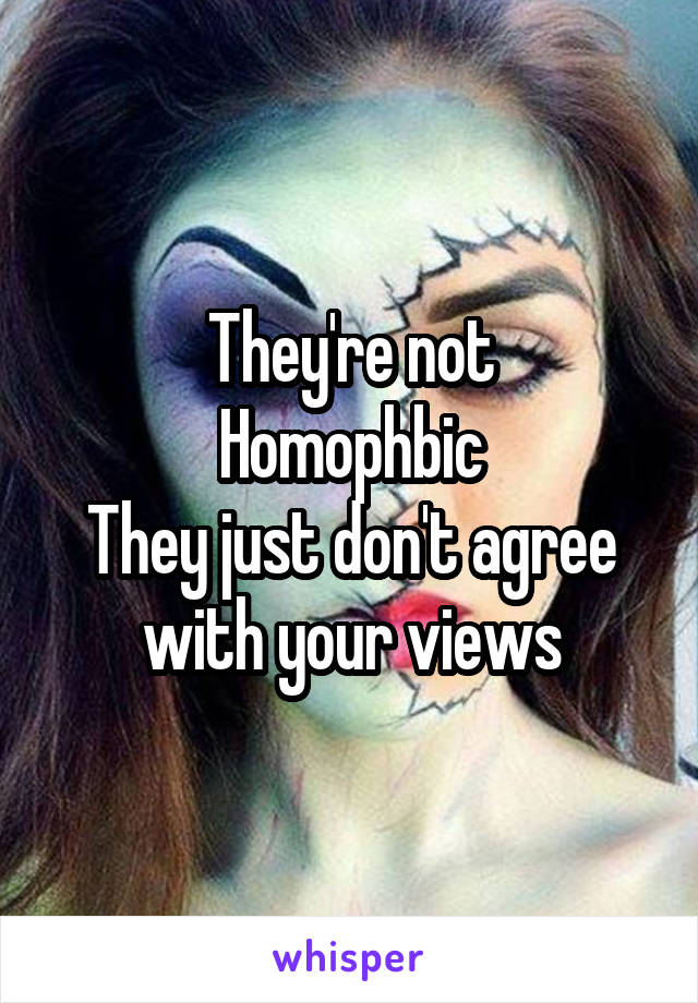 They're not
Homophbic
They just don't agree with your views