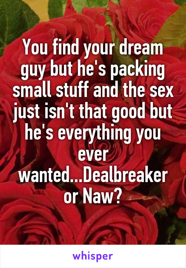 You find your dream guy but he's packing small stuff and the sex just isn't that good but he's everything you ever wanted...Dealbreaker or Naw?
