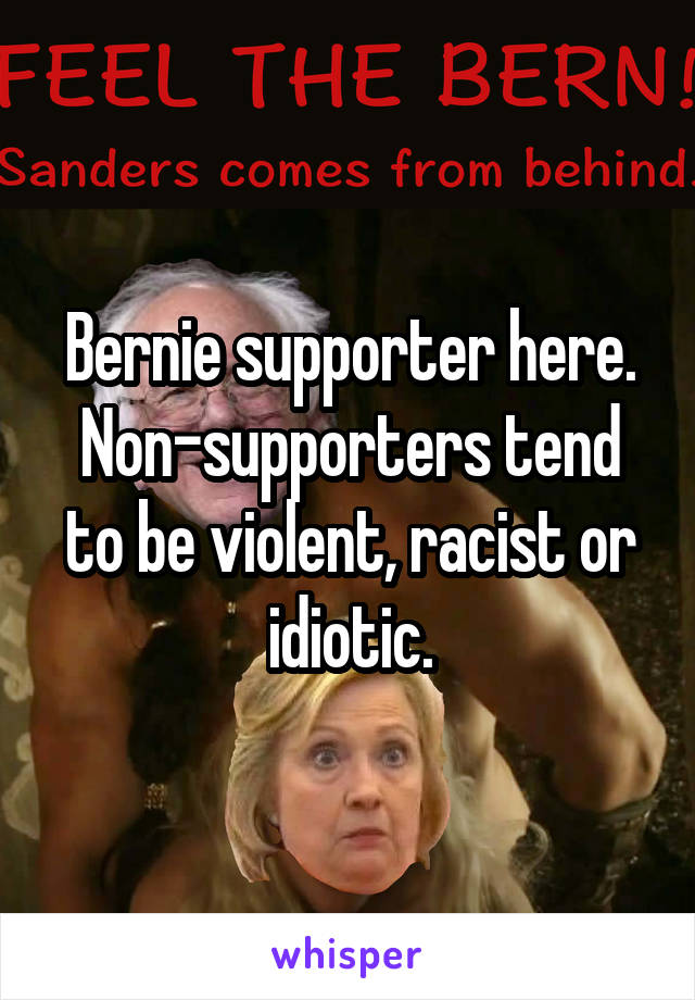 Bernie supporter here. Non-supporters tend to be violent, racist or idiotic.