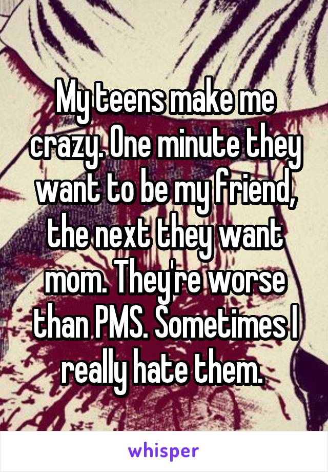 My teens make me crazy. One minute they want to be my friend, the next they want mom. They're worse than PMS. Sometimes I really hate them. 