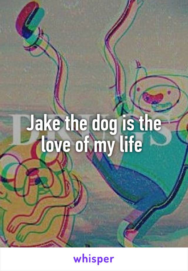 Jake the dog is the love of my life 