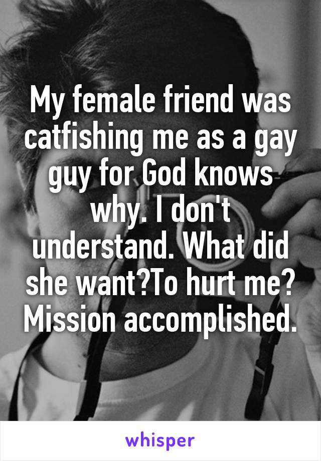 My female friend was catfishing me as a gay guy for God knows why. I don't understand. What did she want?To hurt me? Mission accomplished. 