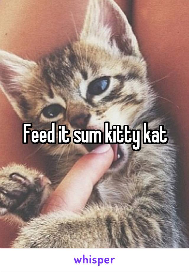 Feed it sum kitty kat