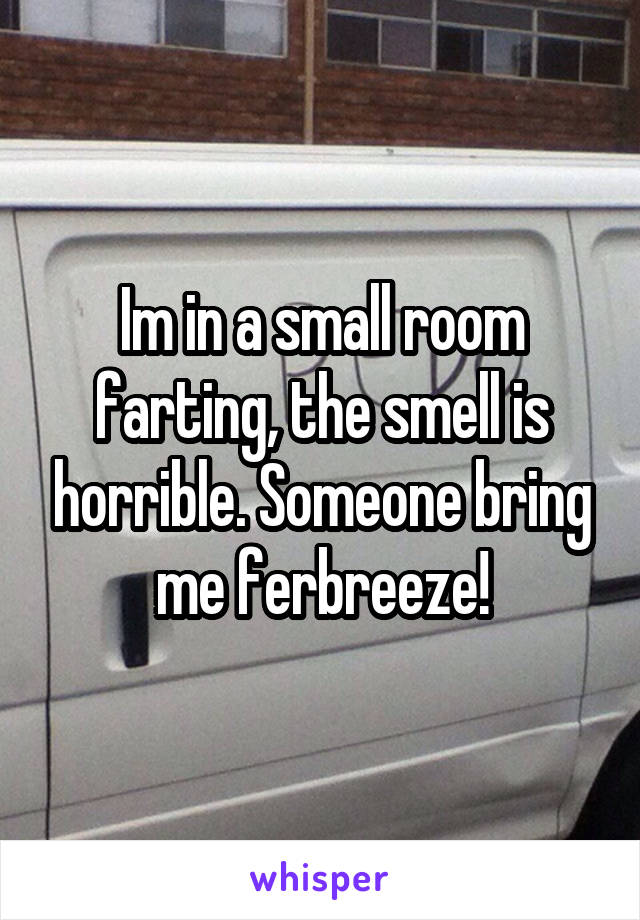 Im in a small room farting, the smell is horrible. Someone bring me ferbreeze!