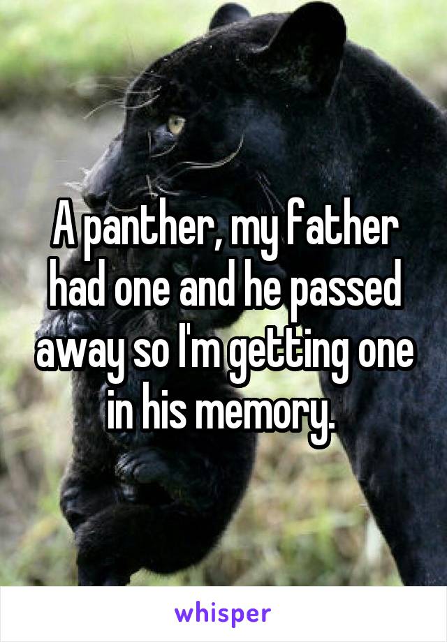 A panther, my father had one and he passed away so I'm getting one in his memory. 