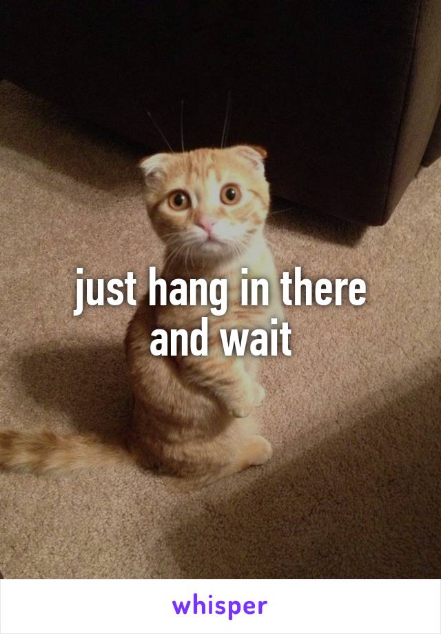 just hang in there
and wait