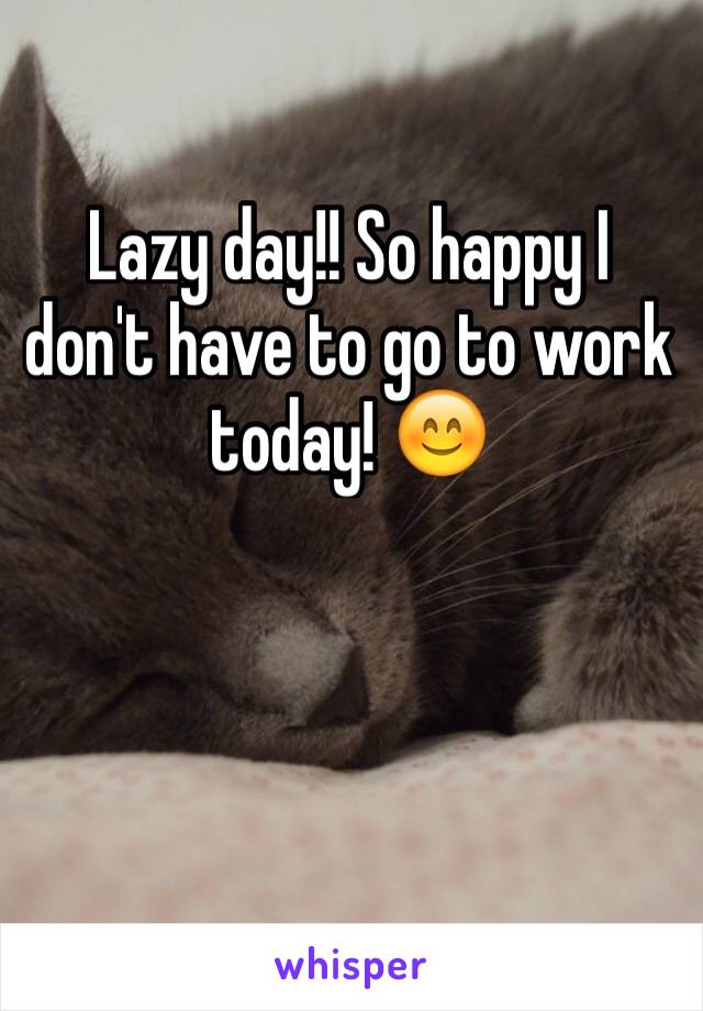 Lazy Day So Happy I Don T Have To Go To Work Today