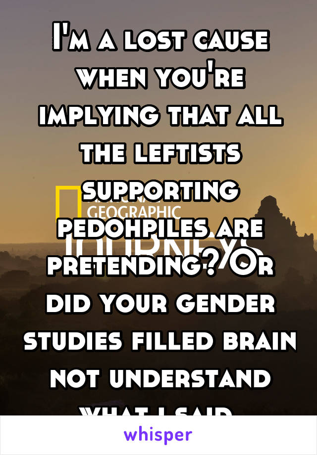 I'm a lost cause when you're implying that all the leftists supporting pedohpiles are pretending? Or did your gender studies filled brain not understand what i said 