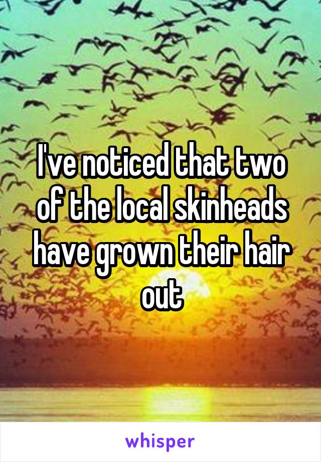 I've noticed that two of the local skinheads have grown their hair out