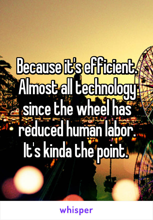 Because it's efficient. Almost all technology since the wheel has reduced human labor. It's kinda the point. 
