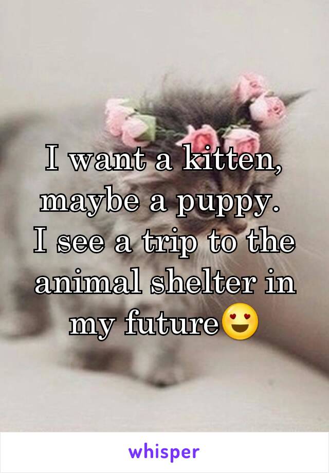 I want a kitten, maybe a puppy. 
I see a trip to the animal shelter in my future😍