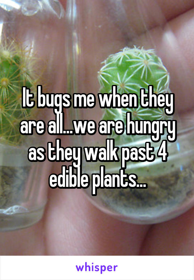 It bugs me when they are all...we are hungry as they walk past 4 edible plants...