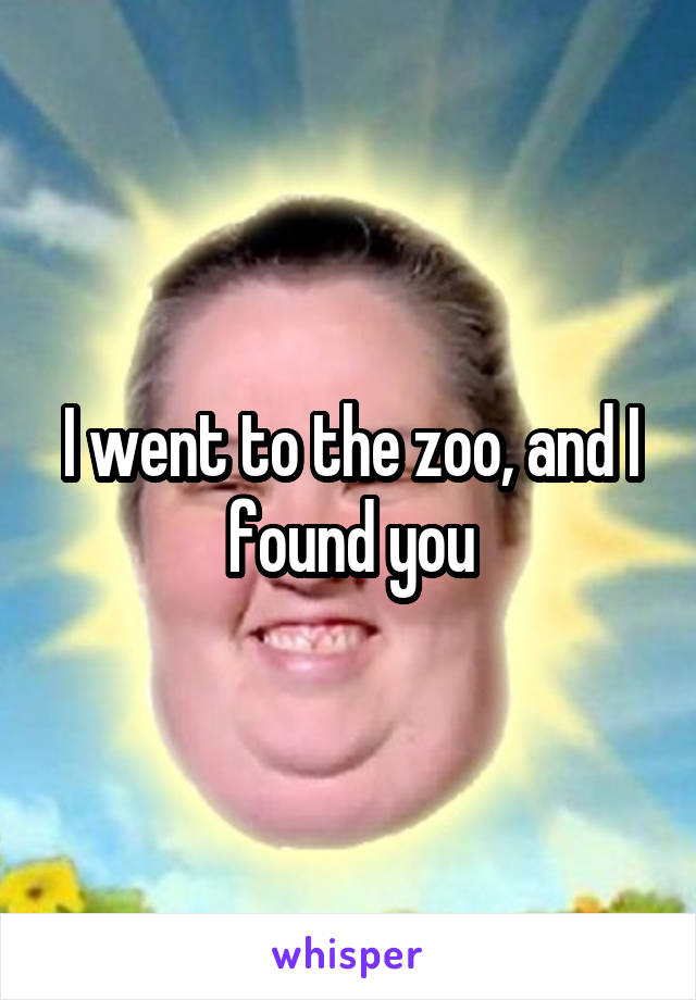 I went to the zoo, and I found you