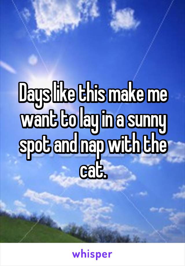 Days like this make me want to lay in a sunny spot and nap with the cat.