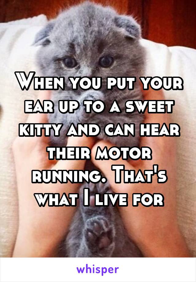 When you put your ear up to a sweet kitty and can hear their motor running. That's what I live for