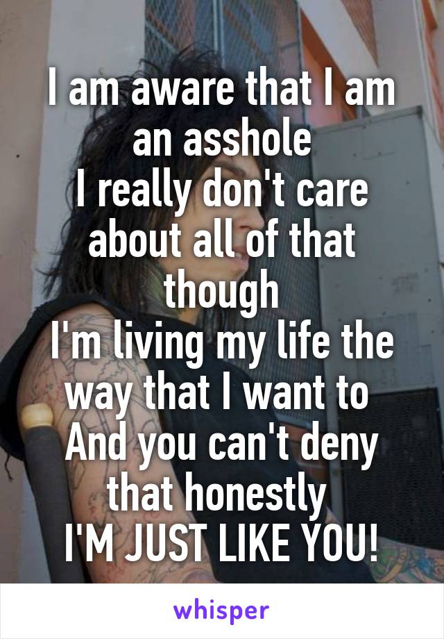 I am aware that I am an asshole
I really don't care about all of that though
I'm living my life the way that I want to 
And you can't deny that honestly 
I'M JUST LIKE YOU!