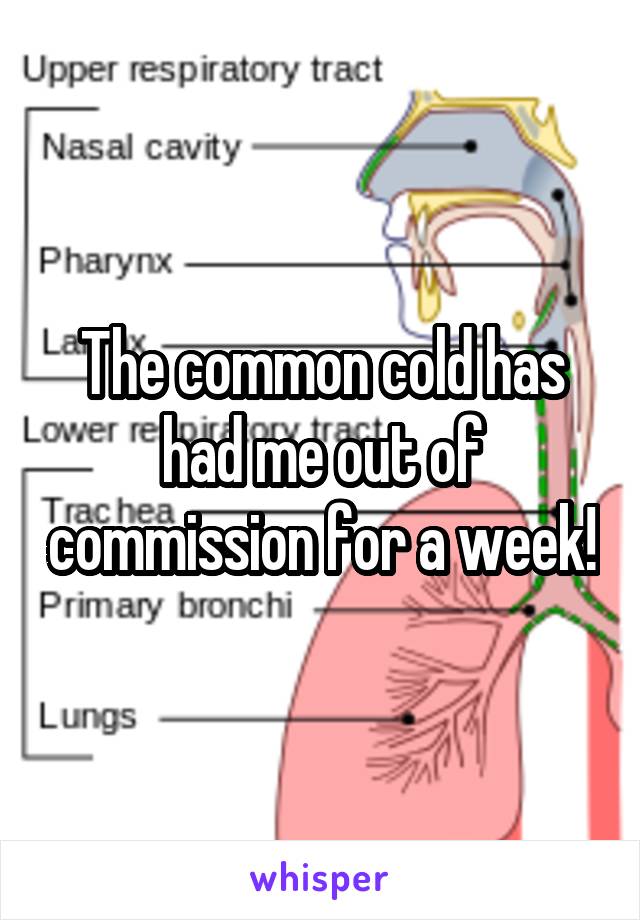 The common cold has had me out of commission for a week!